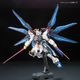 ���� �Х���� RG 1/144 ��ư��Υ������SEED DESTINY ���ȥ饤���ե꡼���६����� �ץ��ǥ�