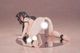 ͽ�� PURE 1/6 �������� ��̩��ͷ�� Illustrated by ������ �����ʥե����奢 27ǯ05��