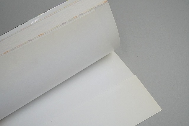 PS2���ե� ���� �ե����� �������� ̤���� / �ѡ��ե����ȥץ쥤������ ��ά�ܥ��å�