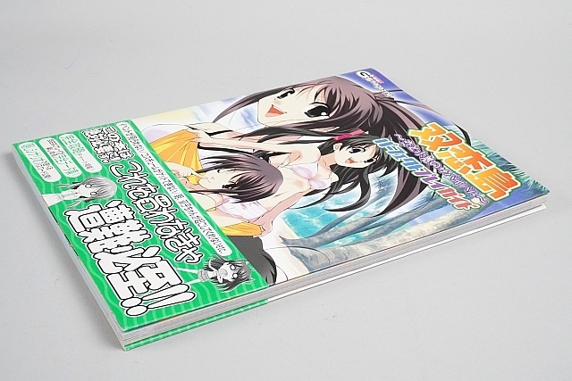 PS2���ե� ������ ���ȿ���Υ��Х��Х� ������ ̤���� / �ѡ��ե����ȥץ쥤������ ��ά�ܥ��å�