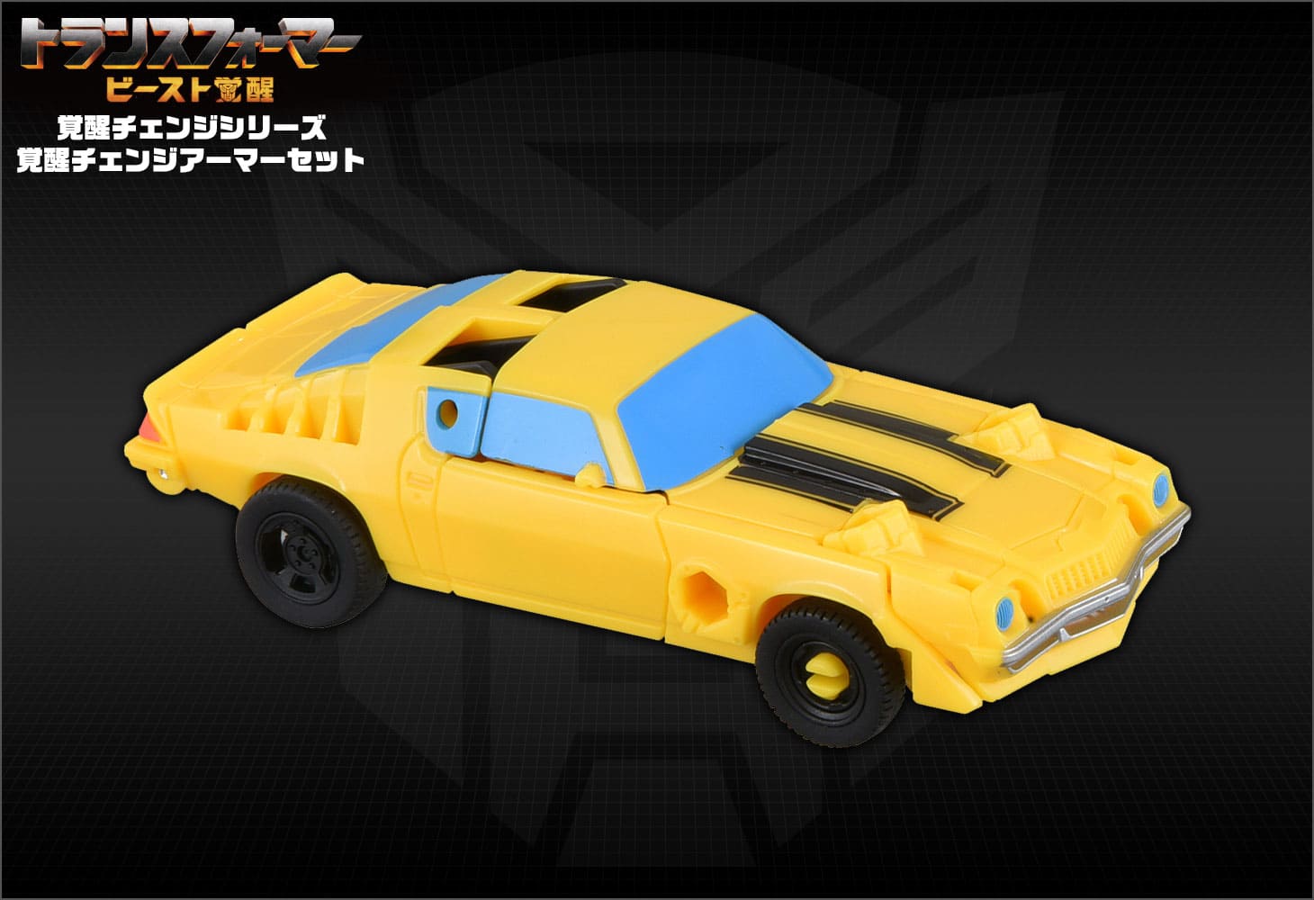 ���� ������ȥߡ� �ȥ�󥹥ե����ޡ� �ӡ����ȳ��� BCAS-01 ���å����󥸥����ޡ����å� �Х�֥�ӡ������ʡ��륻���С�