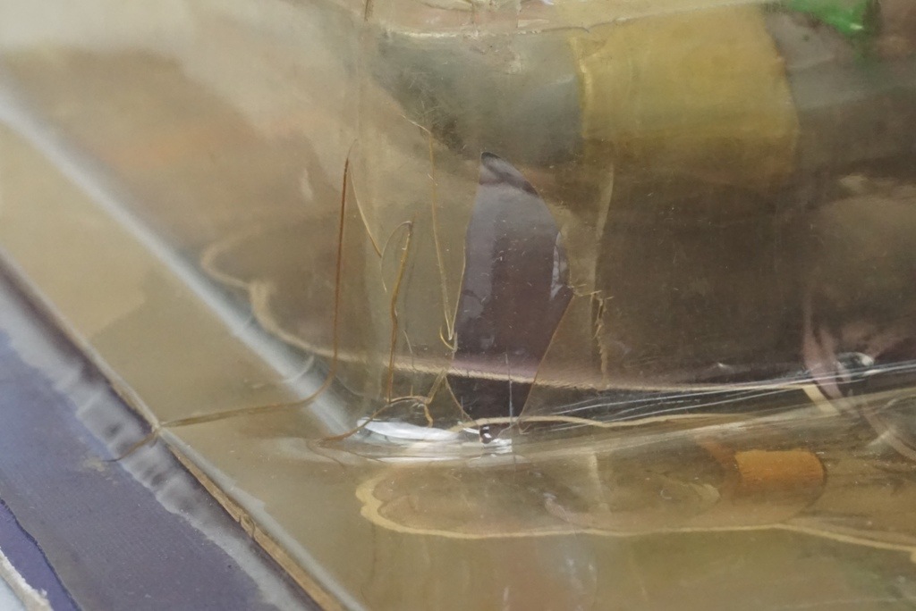 ��� JusToys ���ڥ���륳�쥯���������ǥ������ Youngblood 1995 BAD ROCK #12637