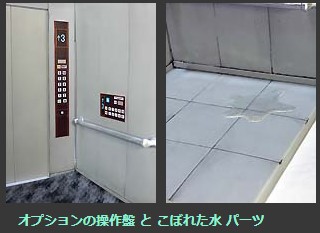 ���ʥ��ߥ�������� 1/12������١�����