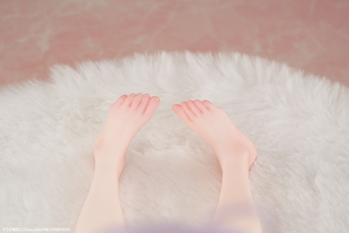 ͽ�� PURE 1/6 ���Ĥ��Ĳƺפ� ���ͤ���� �����ʥե����奢 28ǯ01��