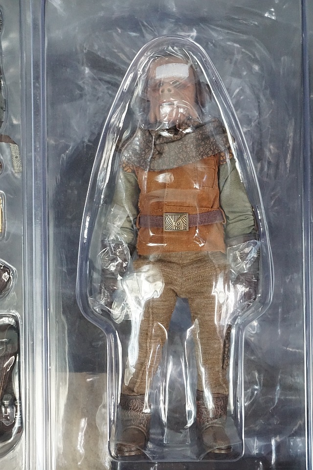 ��� �ۥåȥȥ��� �ƥ�ӡ��ޥ������ԡ��� 1/6 �ޥ�����ꥢ�� ����������֥顼����2�Υ��åȡ�