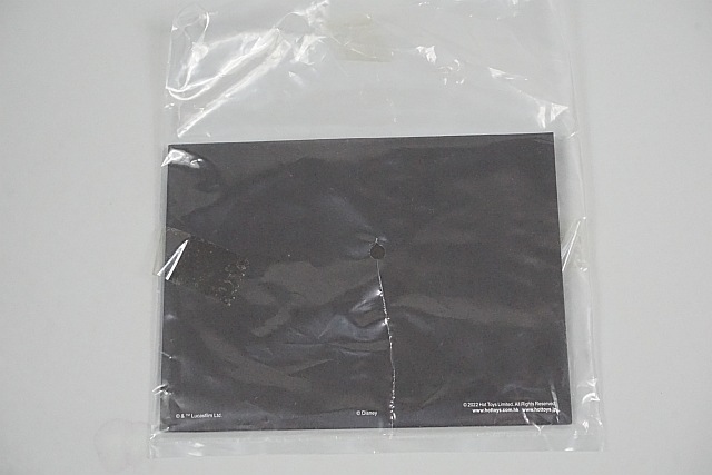 ��� �ۥåȥȥ��� �ƥ�ӡ��ޥ������ԡ��� 1/6 �ޥ�����ꥢ�� ����������֥顼����2�Υ��åȡ�