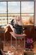 ͽ�� PinkMango 1/6 J��������ѥ�������� illustration by ���ˤޤ� ���� Ver. �����ʥե����奢 ����� 27ǯ09��