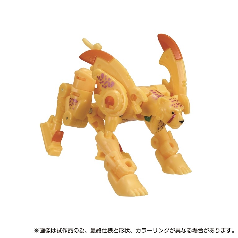  ȥߡ TL-71 ȥ󥹥եޡ 