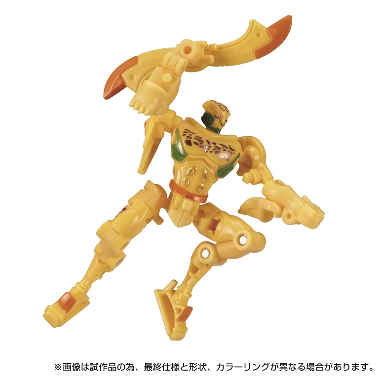  ȥߡ TL-71 ȥ󥹥եޡ 