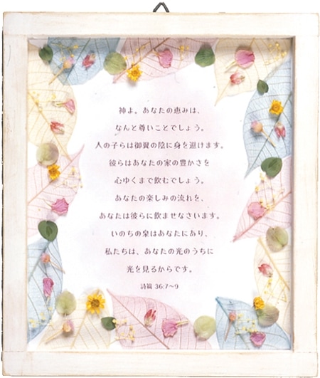 ���ϥ�ɥᥤ���ɳݤ���������ȥ�꡼��