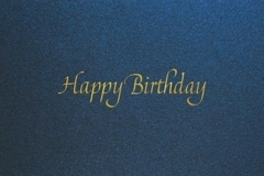 ���ʎގ����Îގ������Ď� �Ȏ��ˎގ�(�����դ�)B300-904