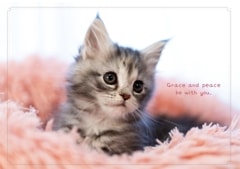 ���꡼�ƥ��󥰥����ɡ������դ��˻�ǭ S-FRP24GC4