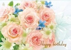 �С����ǡ������ɡ������դ��˥ԥ󥯤ΥХ饢��� S-FRP24BC2