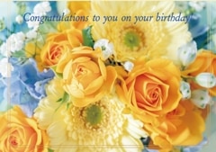 �С����ǡ������ɡ������դ��˲������Х� S-FRP24BC3