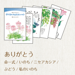 1205�����꤬�Ȥ������Ϥ���5�玾�ڎ���