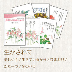 1206����������Ƴ��Ϥ���5�祻�쥯��