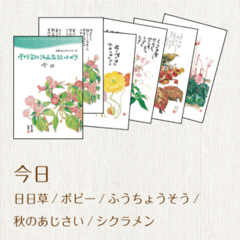 1208���������Ϥ���5�祻�쥯��