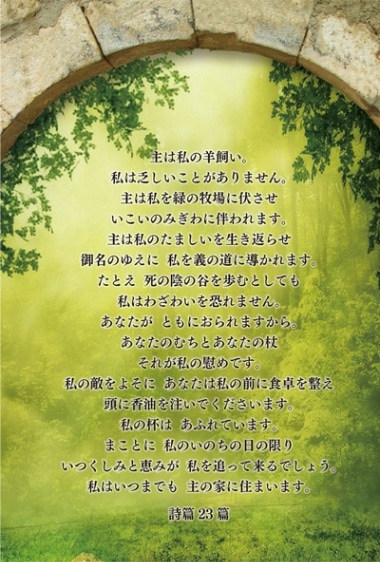 ¿��Ū�ϥ��� ����23�� (10������)��S-VF24F02