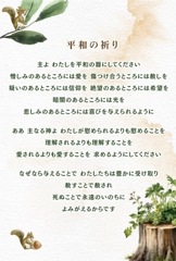 ¿��Ū�ϥ��� ʿ�¤ε��� (10������)��VF24F03