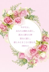 �ե꡼�ϥ��� (10������) �Х�ȴݥե졼�ࡡK-VF24F06