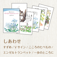 1221�����碌���Ϥ���5�祻�쥯��