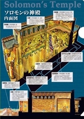 �����ꥢ�ե����륽�����ο��� ���̿�/���̹� L-KM24CF2