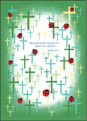 KTCF03�����ꥢ�ե����롡ŷƻ��