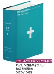 SIESV 54DI Х󥬥Х֥/±о