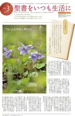 ʡ���� 3��� 