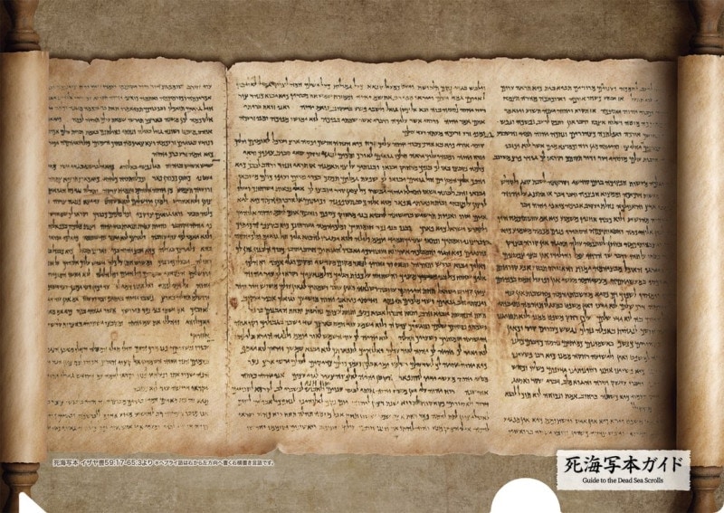 ���ꥢ�ե����롡�೤���ܥ����ɡ�KM25CF2