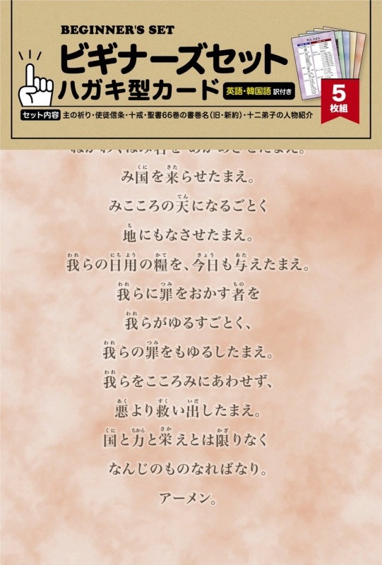 �ӥ��ʡ������å� �ϥ����������� 5������ K-VF25BS01