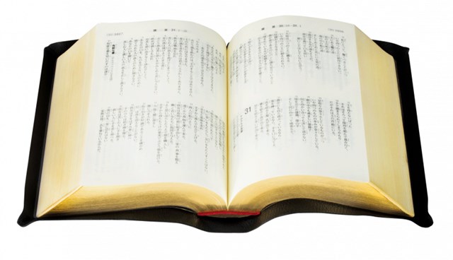 聖書 聖書協会共同訳 折革装中型 SI59S SI59S 中型折革装聖書 聖書協会共同訳 | 聖書,聖書協会共同訳