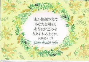 ���̎؎��ʎ��ގ� (10������)�ߥ⥶ S-VF25F01