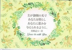 ���̎؎��ʎ��ގ� (10������)�ߥ⥶ S-VF25F01