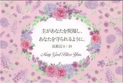 ���ե꡼�ϥ��� (10������)�Х� S-VF25F02