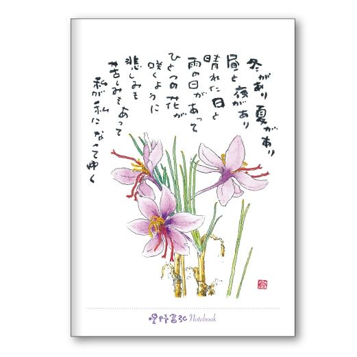 �����ٹ���B6�Ρ���FRP25TNB2�����ե��