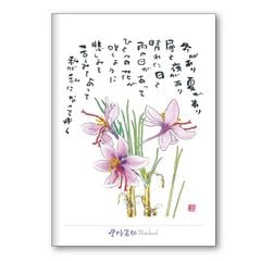 �����ٹ���B6�Ρ���FRP25TNB2�����ե��