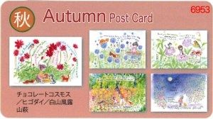 6953������γ��Ϥ���5�����꽩Autumn