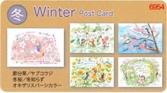 6954������γ��Ϥ���5��������Winter