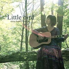 CD Little bird