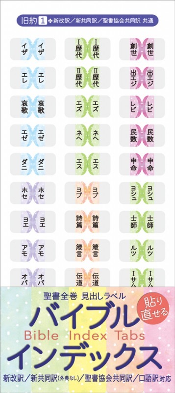 ������)���Х��֥륤��ǥå��� �ѥ��ƥ� NGS21BI