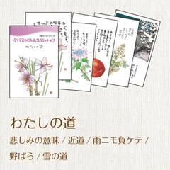 1211���錄����ƻ���Ϥ���5�祻�쥯��