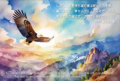 ���ե꡼�ϥ��� (10������)�������� S-VF26F01