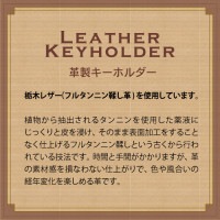 ���������ۥ�������ʥ����롡MV22KH1