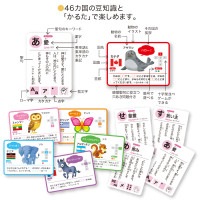 ���襤���ɤ��֤� �ž����祫����&������(����Ʊ��)