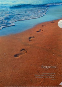 ��A4���ꥢ�ե����� �եåȥץ���CF19A