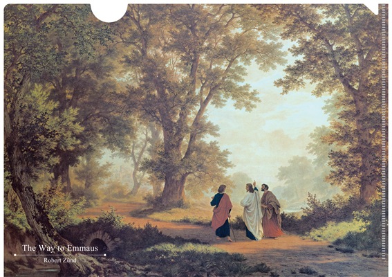 �����؎��̎����� ���� ���ώ����Ӿ� KM-21B250