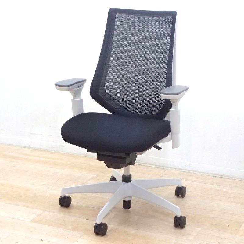 Herman Miller ハーマンミラー Mirra ミラチェア 肘付オフィス
