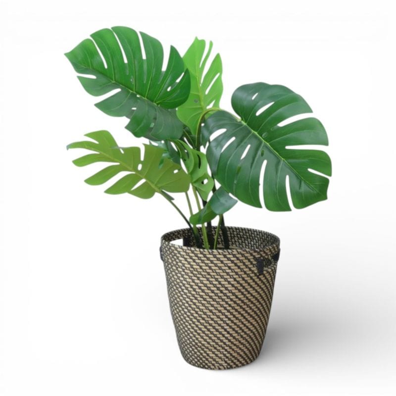 イケア フェイクグリーン 人口観葉植物 H80㎝ ベージュ/ブラック 人口樹木 中古 YH20451