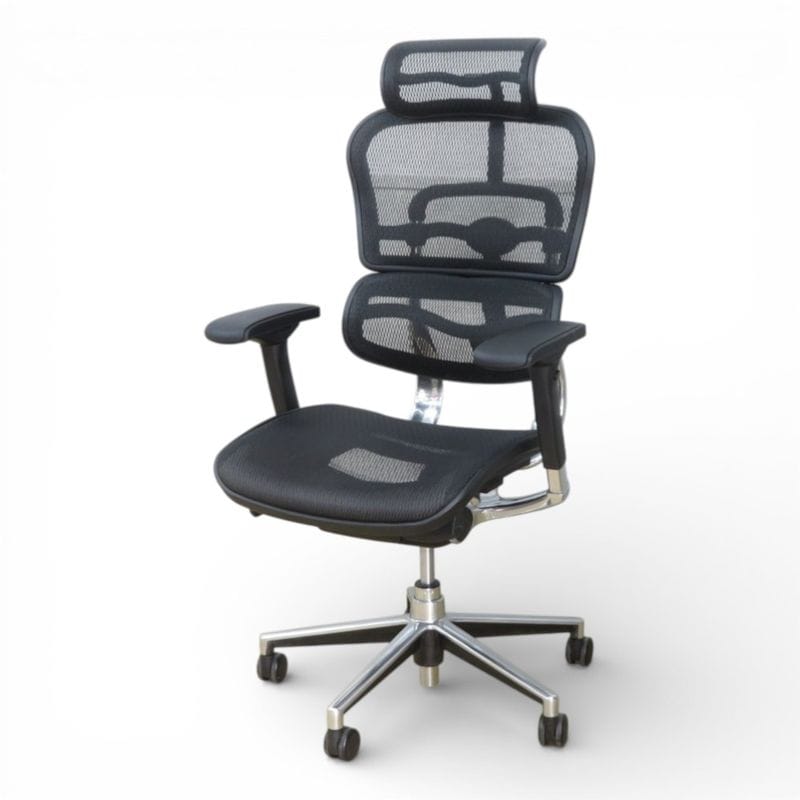 【中古/良品】エルゴヒューマン ベーシック オフィスチェア ブラック 事務椅子 肘付き ヘッドレスト ハイバック リクライニング メッシュ 中古オフィス家具 YH20884